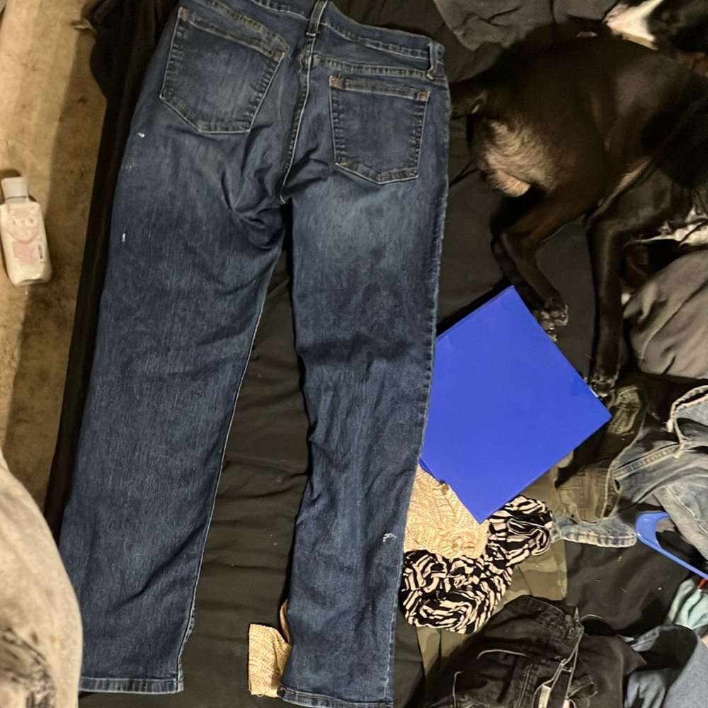 Blue Jeans - Picture 3 of 3